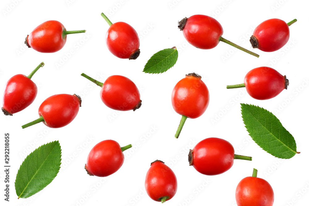 rosehip berries with green leaves isolated on white background. Top view rosehip berries with green leaves isolated on white background. Top view