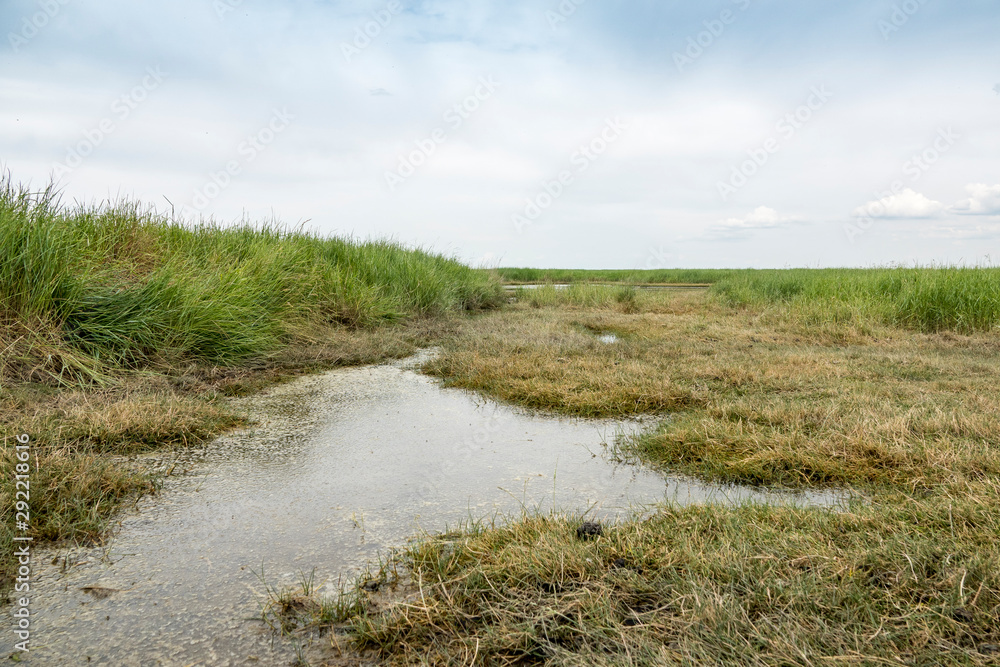 drowned land of Saefthine reserve in Belgium drowned land of Saefthine reserve in Belgium