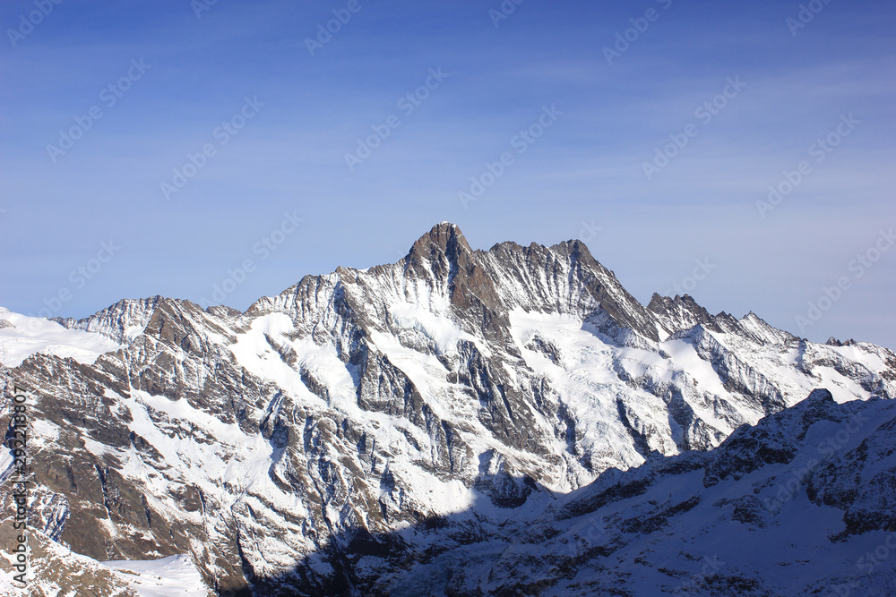 snow-covered mountains in the bernese alps in winter
