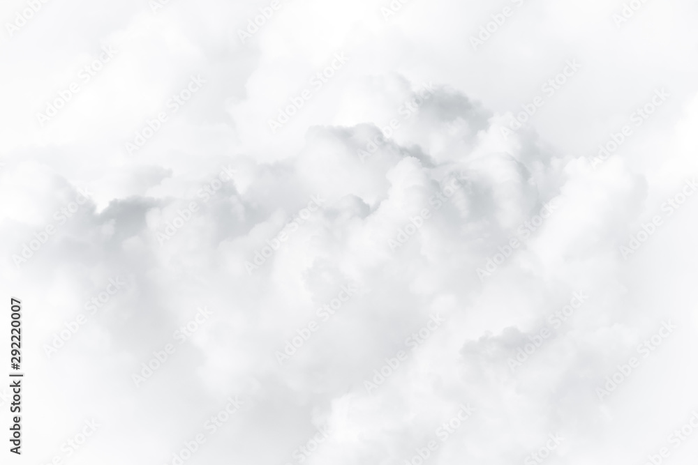 White cloud in the sky - obrazy, fototapety, plakaty 