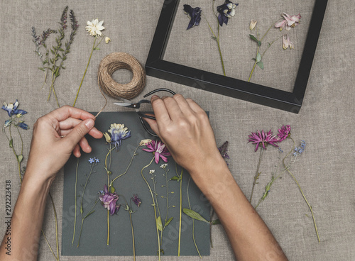 Girl making herbarium. Dried herbs and dried flowers for making herbarium photo