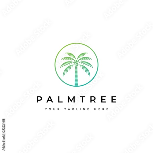 Coconut tree logo design.Palm tree icon