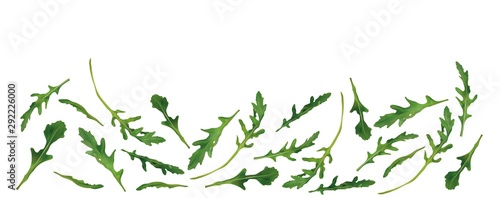 Beautiful fresh rucola isolated on white background. Salad or rucola. 3D realistic arugula with copy space for you text. Banner. Vector illustration