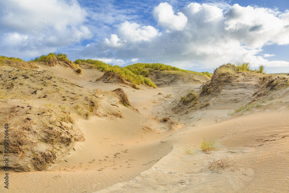 Dune valleys with deep wind holes carved out by heavy storm with swaying marram grasses with scattered clouds against blue sky Dune valleys with deep wind holes carved out by heavy storm with swaying marram grasses with scattered clouds against blue sky