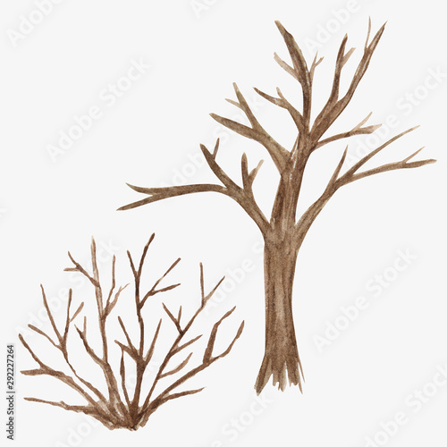 Watercolor Illustration sketch of dead tree without leaves. Winter, autumn, spring seasons trees isolated on white background