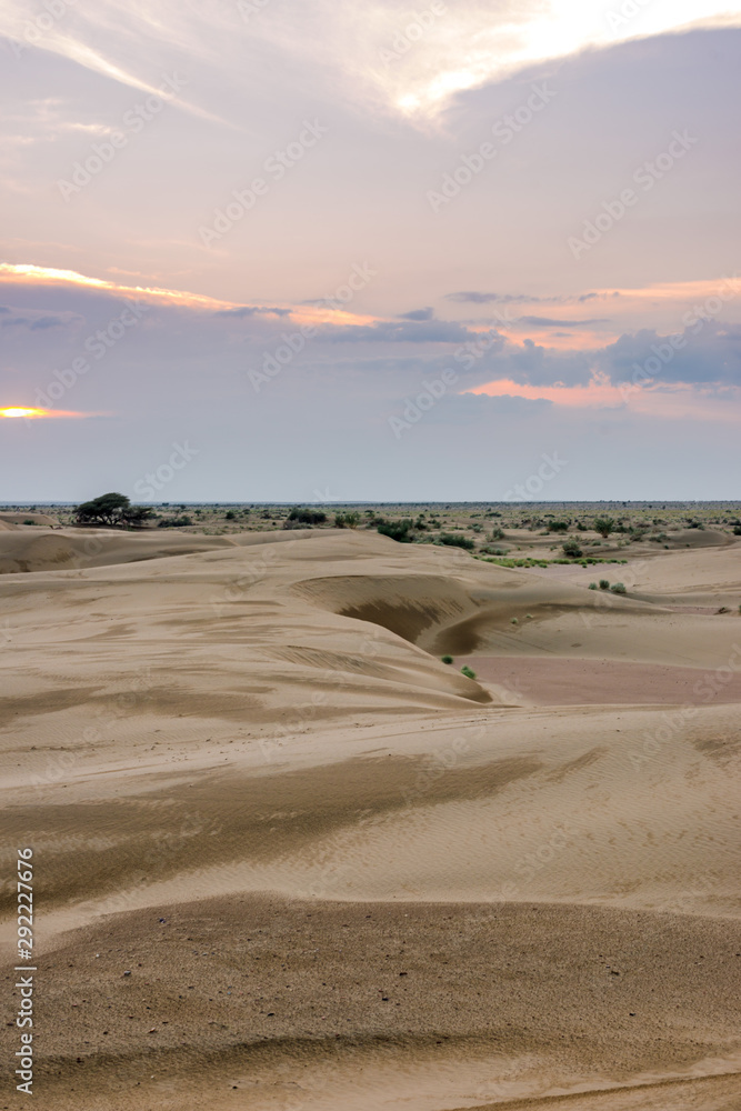 Sunset in Thar desert Rajasthan in India
