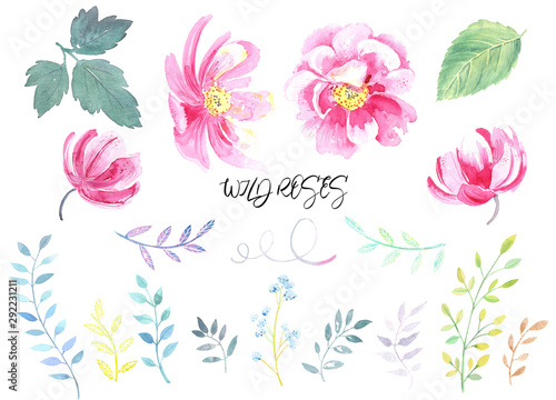 Fototapeta Naklejka Na Ścianę i Meble -  Leaves and roses collection. Clip art with colorful elegant wedding pastel isolated  elements. .Hand painted in watercolor.