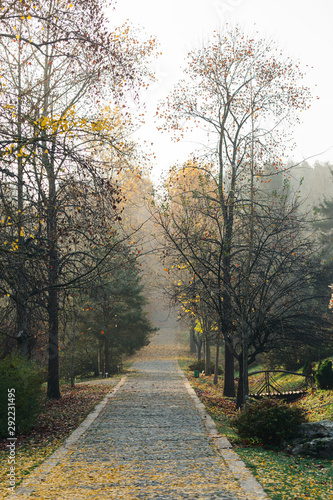 Landscape photo at Autumn Time/November, with view of lake and forest