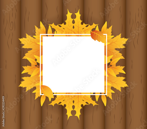 autumn leafs foliage square frame
