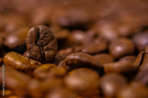Preparing roasted coffee beans up. Photo filtered in vintage style can be used as a background 
