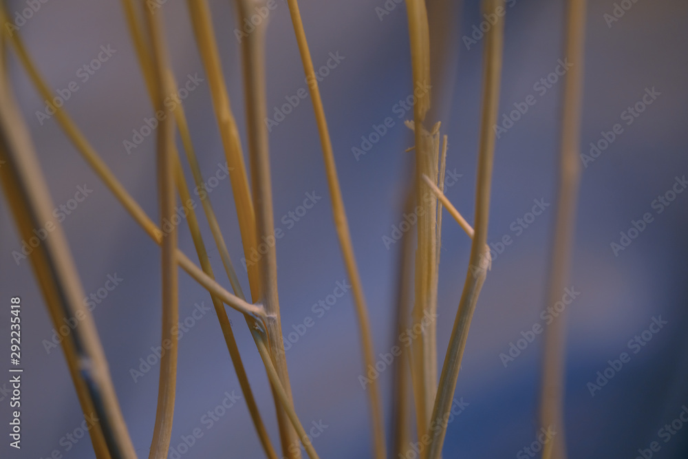 beautiful tree branch is used to decorate the interior of the room back from the blur.