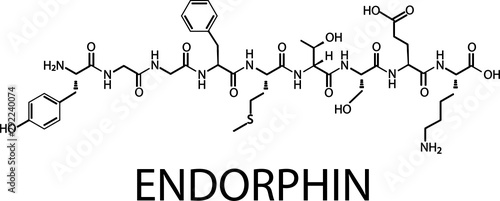Endorphins