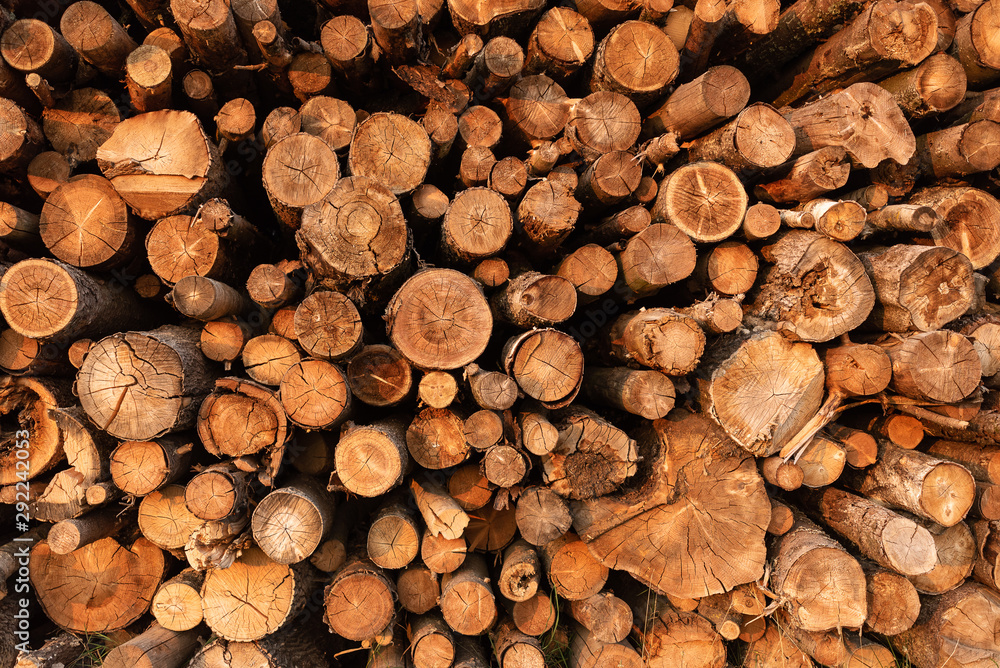 Timber storage area where large amount of wood is stored. Timber storage area where large amount of wood is stored.