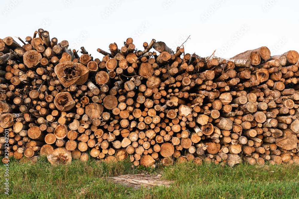 Timber storage area where large amount of wood is stored.