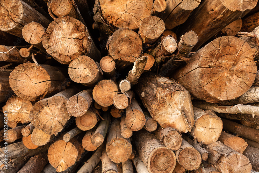 Timber storage area where large amount of wood is stored. Timber storage area where large amount of wood is stored.