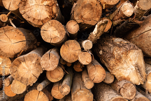 Timber storage area where large amount of wood is stored.