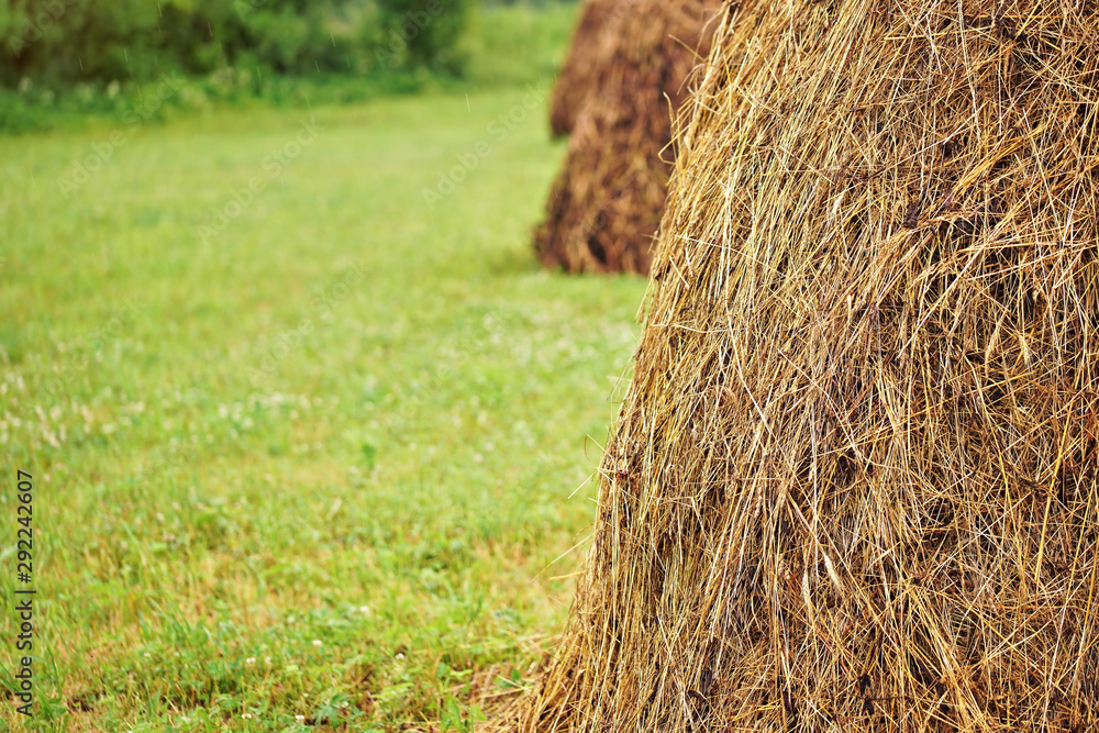 Closeup of straw haystacks on green field, blurred trees in background, falling rain visible Closeup of straw haystacks on green field, blurred trees in background, falling rain visible