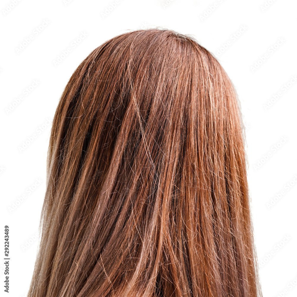 Woman head - detail of light brown hair isolated on white background, view from behind Woman head - detail of light brown hair isolated on white background, view from behind