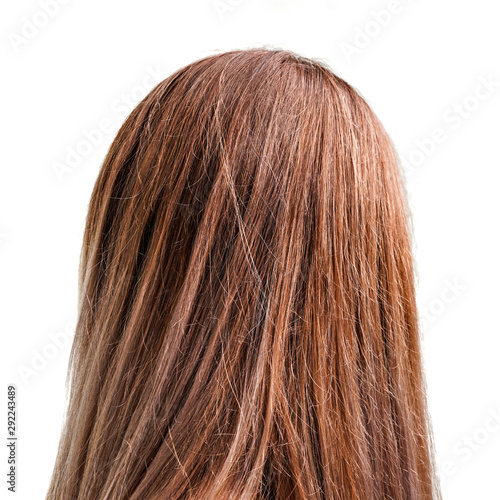 Woman head - detail of light brown hair isolated on white background, view from behind