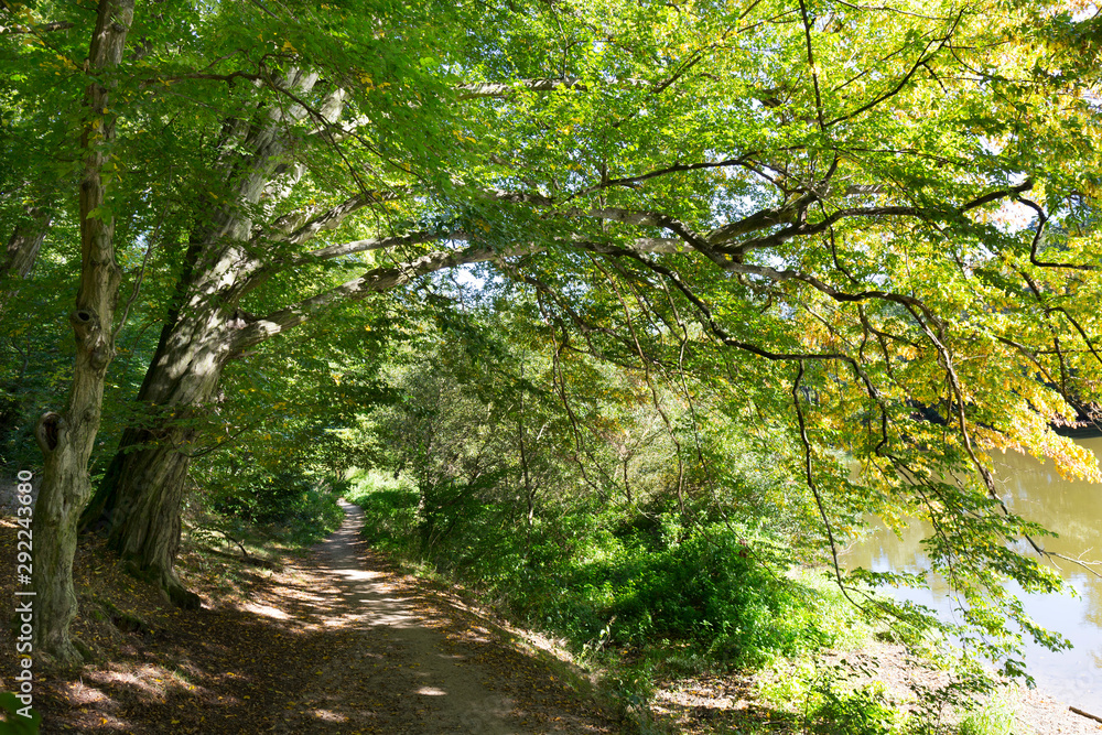 Romantic solitude Path with old big Trees about River Sazava in Central Czech Romantic solitude Path with old big Trees about River Sazava in Central Czech