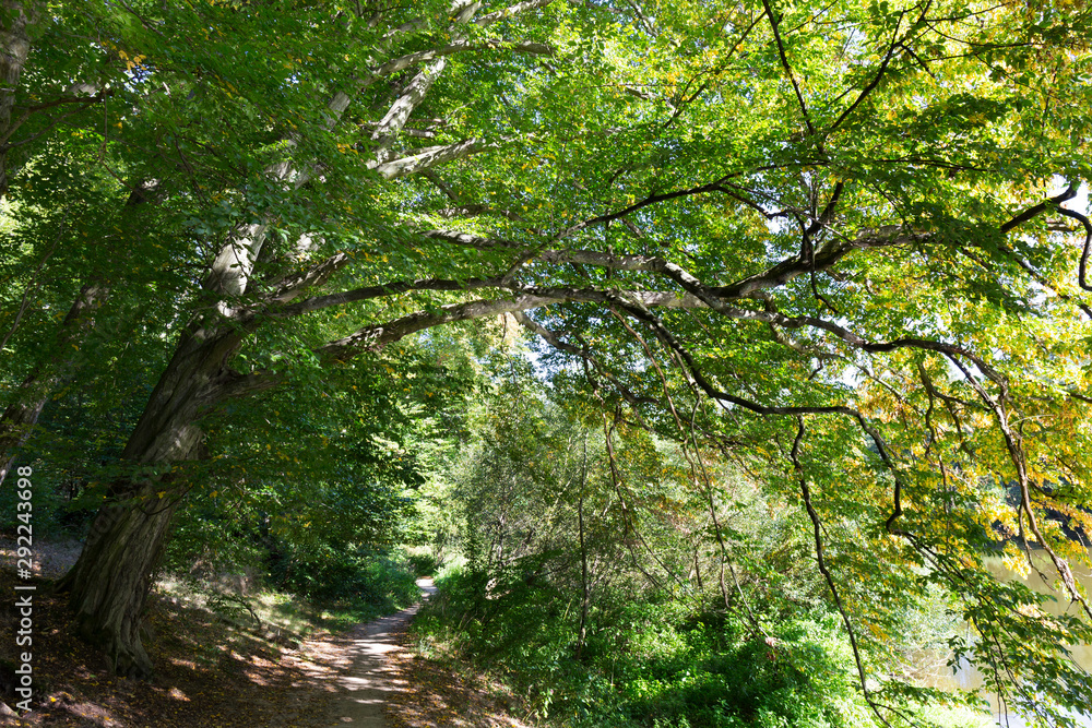 Romantic solitude Path with old big Trees about River Sazava in Central Czech Romantic solitude Path with old big Trees about River Sazava in Central Czech