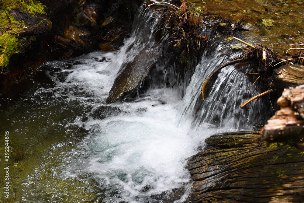 waterfall in the redwoods waterfall in the redwoods