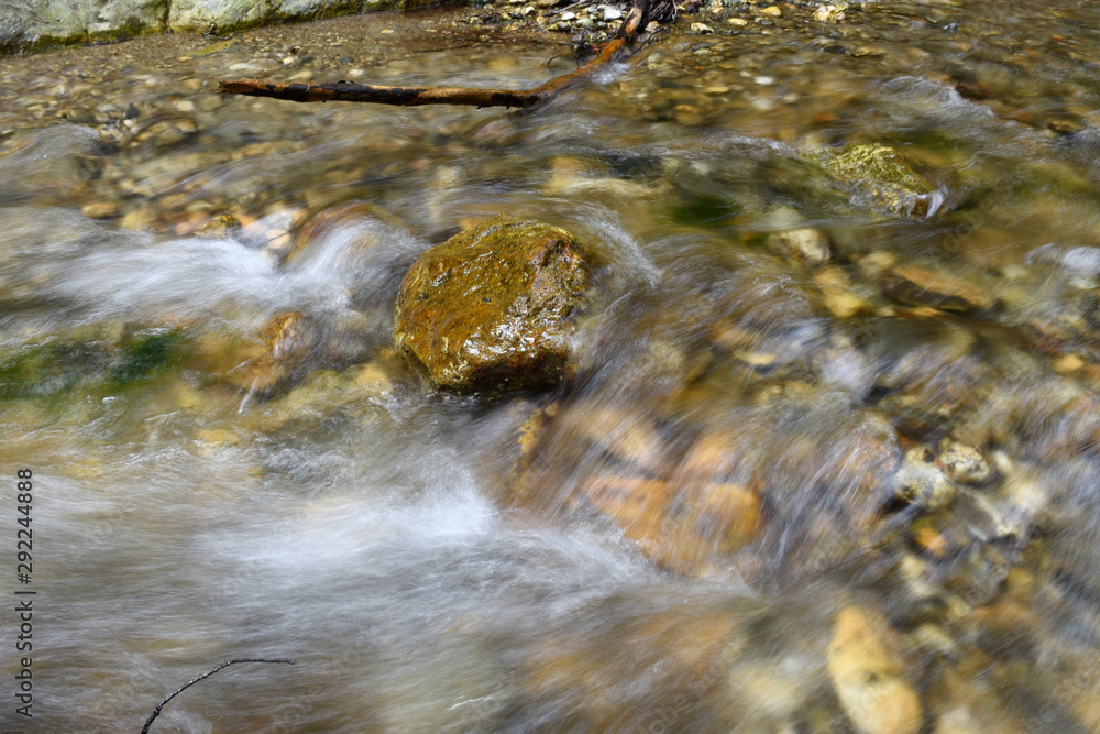 stream in forest stream in forest