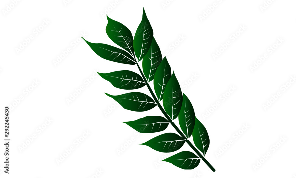 green vector isolated leaf green vector isolated leaf
