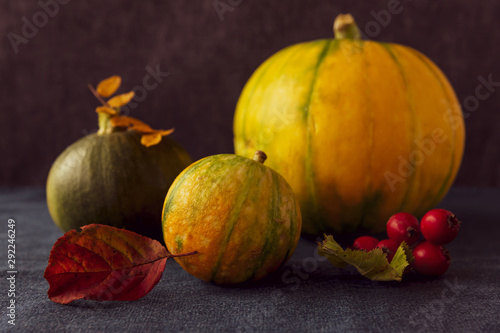 Three small pumpkins and red berries lie on a blue background. Autumn and Halloween concept