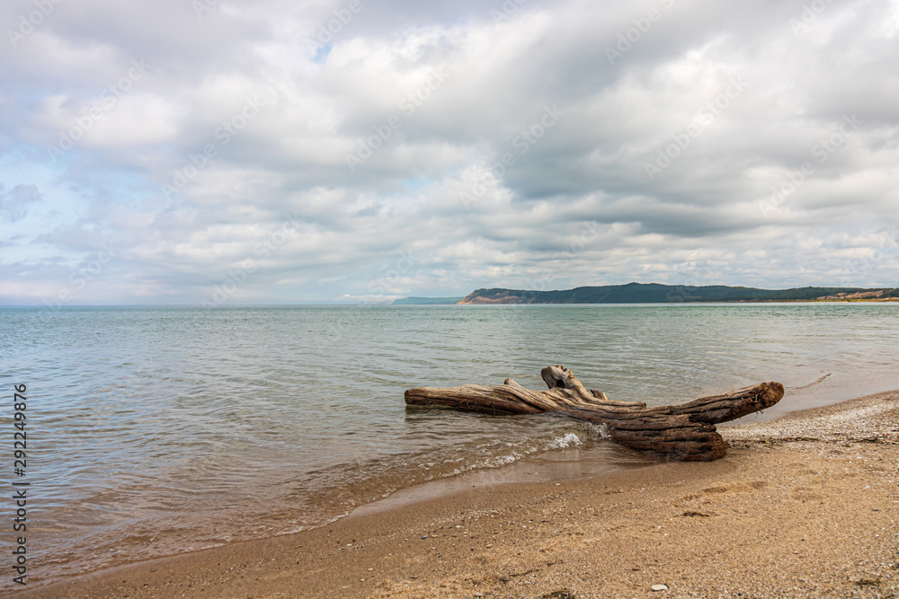 Driftwood on the beach of Sleeping Bear Bay