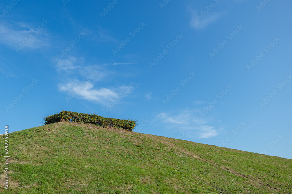 Trimmed shrub on top of small hillside with small slope and covered by grass, against sunny blue sky, without people. Trimmed shrub on top of small hillside with small slope and covered by grass, against sunny blue sky, without people.