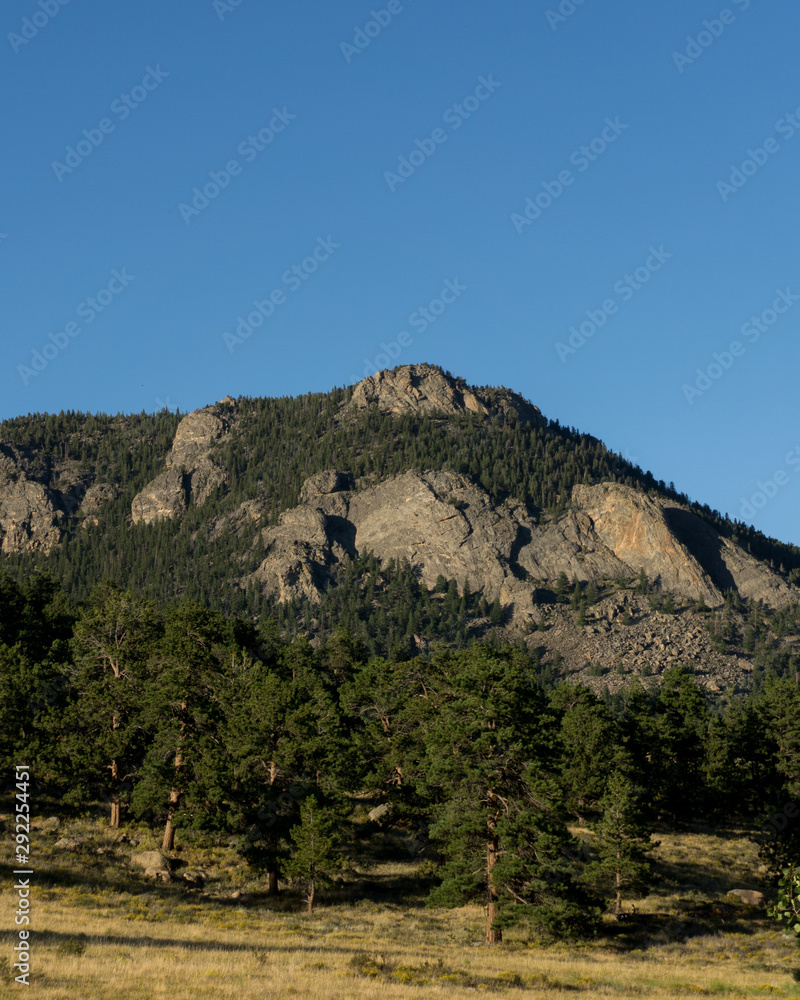 mountain and trees