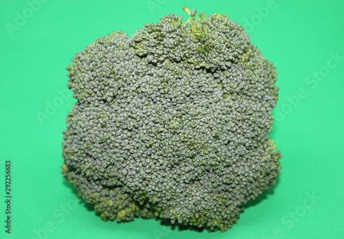 View of a Broccoli Top on Green screen background