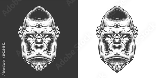 Original monochrome vector illustration. Evil gorilla head in retro style. T-shirt or sticker design