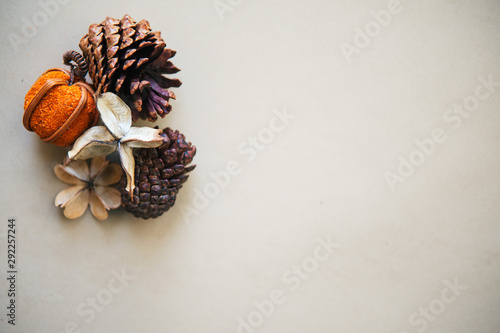 Simple flat lay autumn composition with pinecones, dried flowers and mini pumpkin decoration with copy space for bloggers, magazines and social media