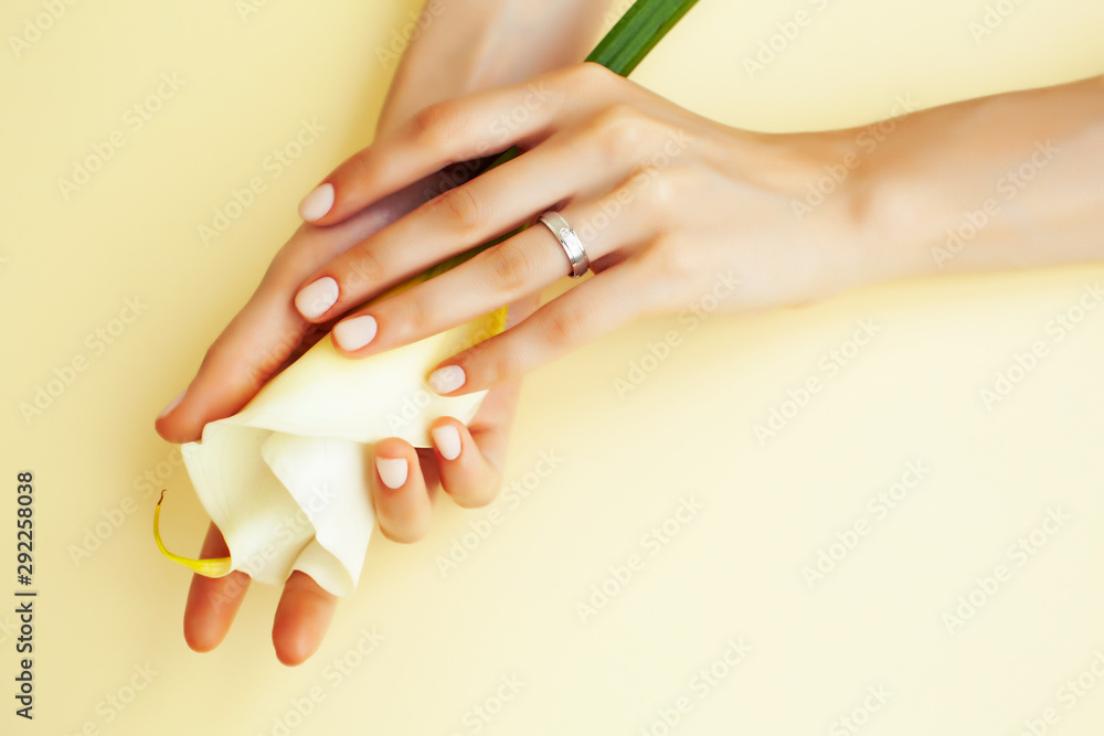 pretty perfect woman hands with white manicure and big flower on colorful yellow background, spa concept pretty perfect woman hands with white manicure and big flower on colorful yellow background, spa concept