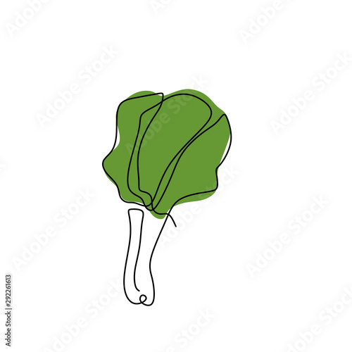 Vegetables for vegan food. ...