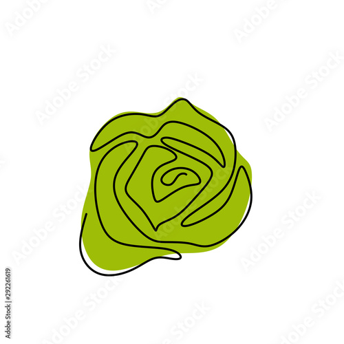 Vegetables for vegan food. ...