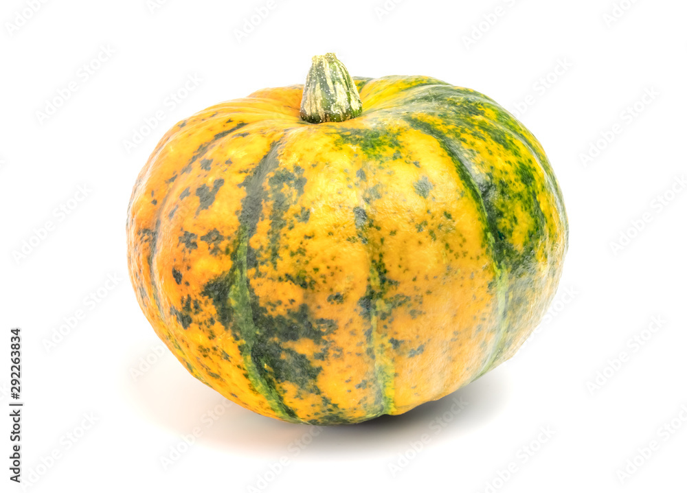 ripe pumpkin on a white background ripe pumpkin on a white background