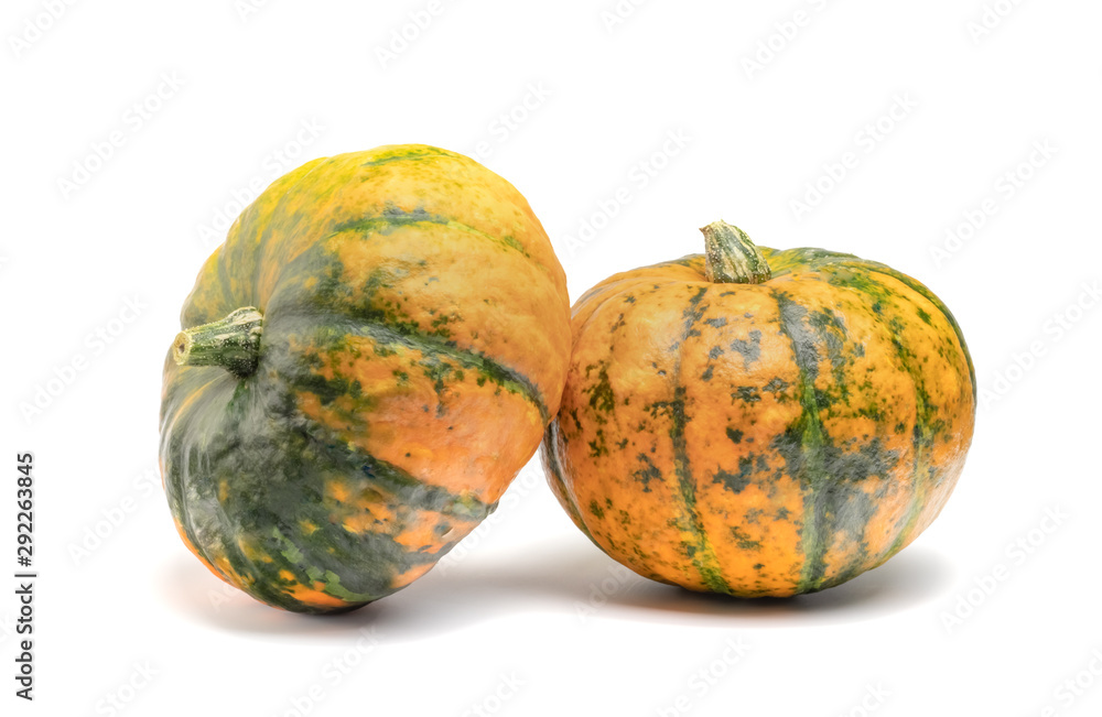 ripe pumpkin on a white background