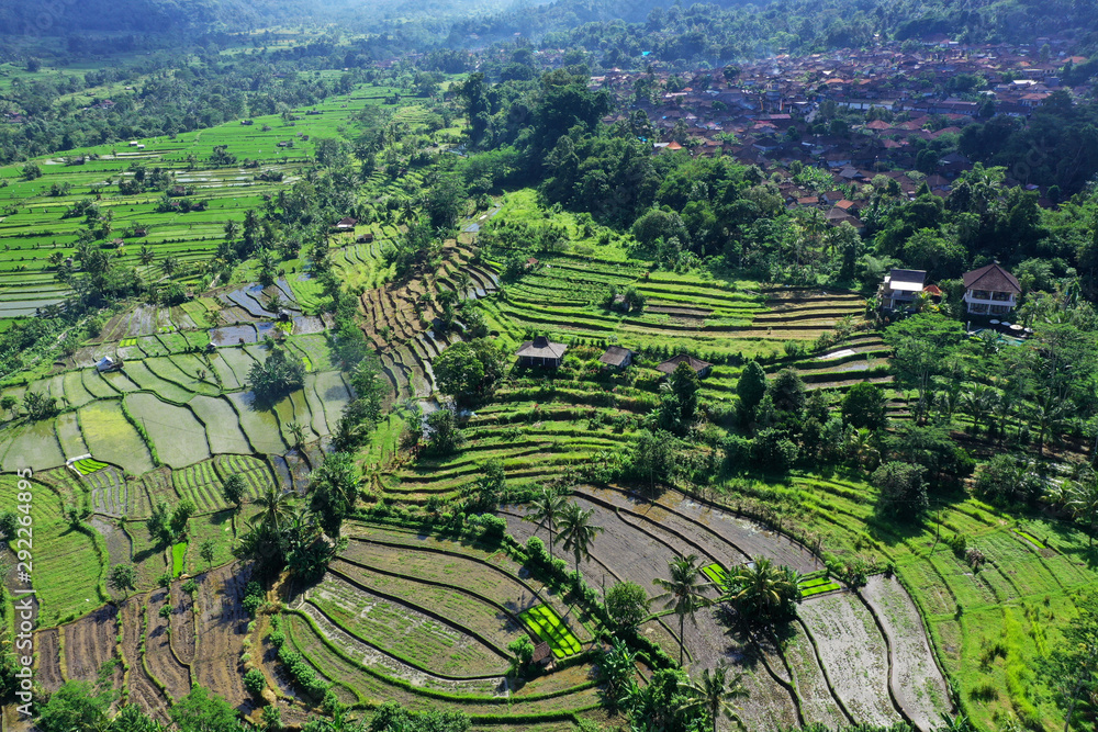 Beautiful view of green rice terraces at a small villages, a cool resorts, Bali.