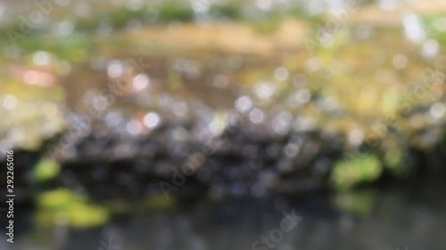 Beautiful natural water bokeh