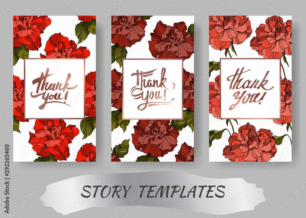 Vector Rose floral botanical flowers. Black and white engraved ink art