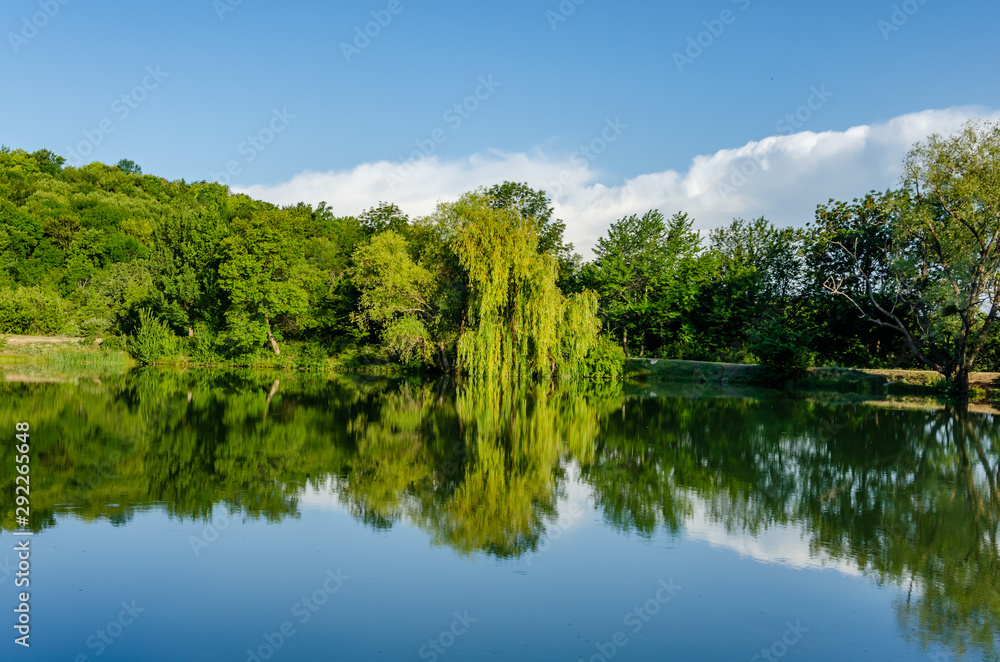 Fototapeta premium A lake in the mountains surrounded by green trees in summer.