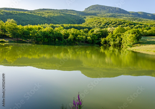 The lake in the mountains is surrounded by green forest in summer.