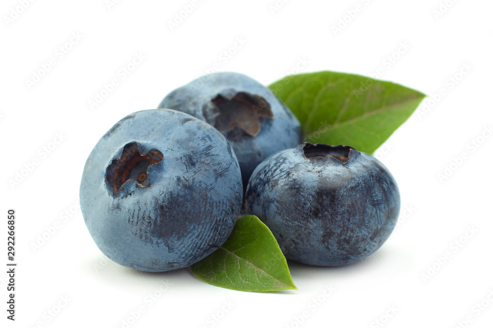 Obraz premium Blueberry with leaf closeup