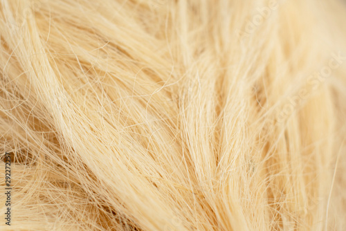 sisal fiber texture close up photo