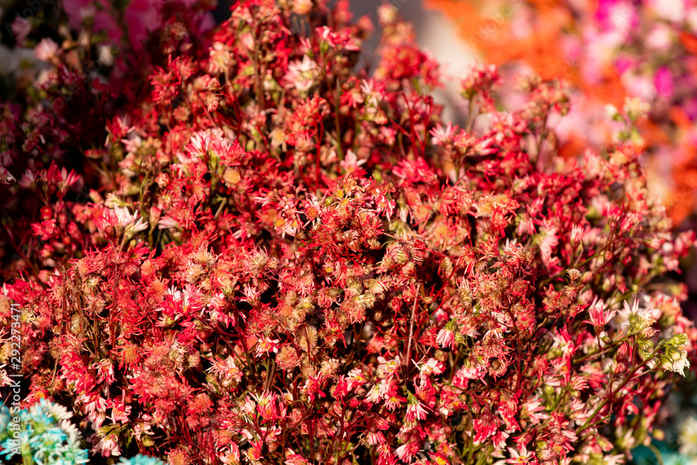Selective focus, bunches of beautiful flowers bouquet in the market, bright mixed colorful flowers bouquet in vintage paper in florist shop Selective focus, bunches of beautiful flowers bouquet in the market, bright mixed colorful flowers bouquet in vintage paper in florist shop