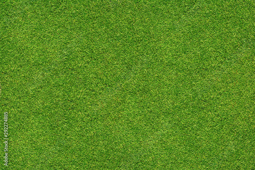  green grass texture