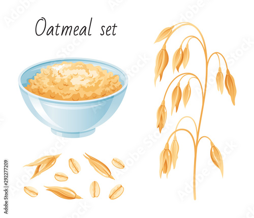 Oat meal set. Bowl, oatmeal ear flake. Breakfast cup with oat grain porridge, muesli, seed. 3d realistic icon. Cartoon style for healthy food design. Vector illustration isolated on white background